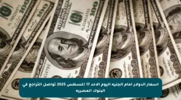 أسعار الدولار أمام الجنيه اليوم الأحد 17 أغسطس 2025 تواصل التراجع في البنوك المصرية